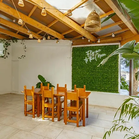 Villa Lunatika House